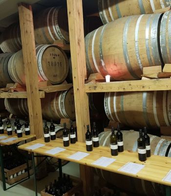 Wein- und Sektgut, Destillerie Bergkeller