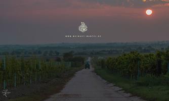 Weingut Mantel / Diedesfeld