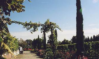 Kissel - Weingut