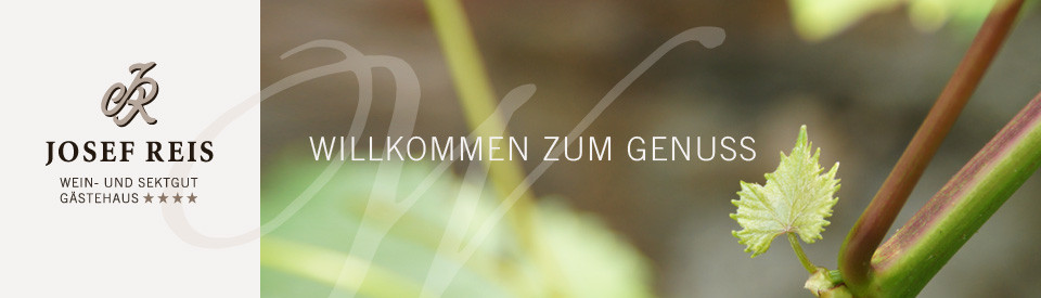 Wein und Sektgut Josef Reis,Weincafé Classic