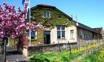 Winzerverein Deidesheim eG