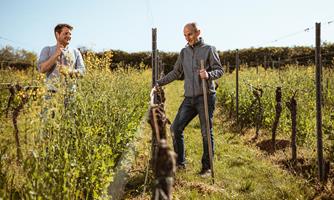Weingut SOPS-Dambach