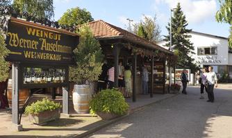Foto 1 von Weingut Anselmann - Brunnenterrasse