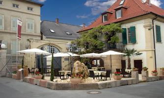 Forster Winzerverein e. G.
