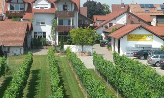 Weinstube und Gästehaus Im Linsenbusch