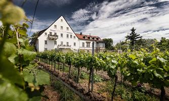 Weingut Völcker