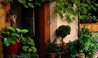 Weingut Geiger