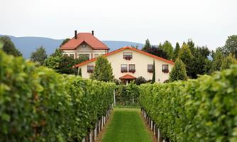 Weingut Villa Hochdörffer