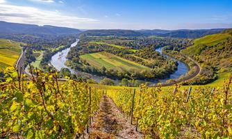 Saarweingut Weber Brüder