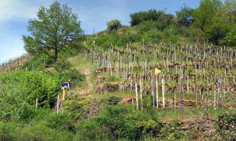 Weingut Zens