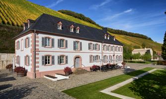 Weingut und Vinothek Cantzheim