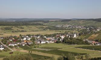 Foto 1 von Weingut Erik Schmitt
