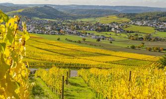Weingut Benedikt Weidert