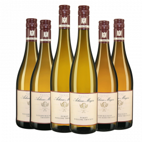 Foto 1 von Weingut Acham-Magin