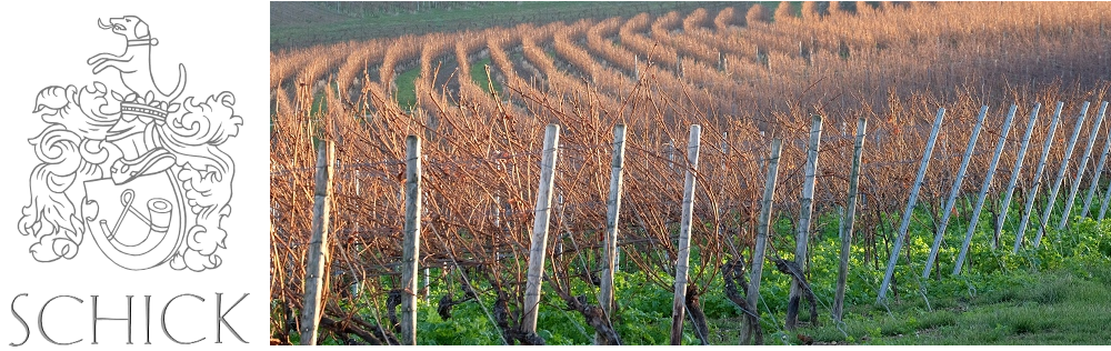 Foto 3 von Weingut Adolf Schick GbR