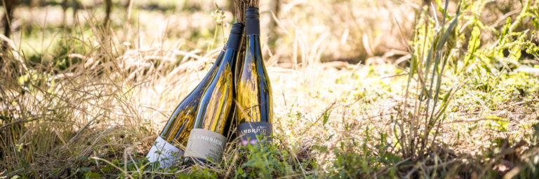 Foto 4 von Weingut Albert Lambrich