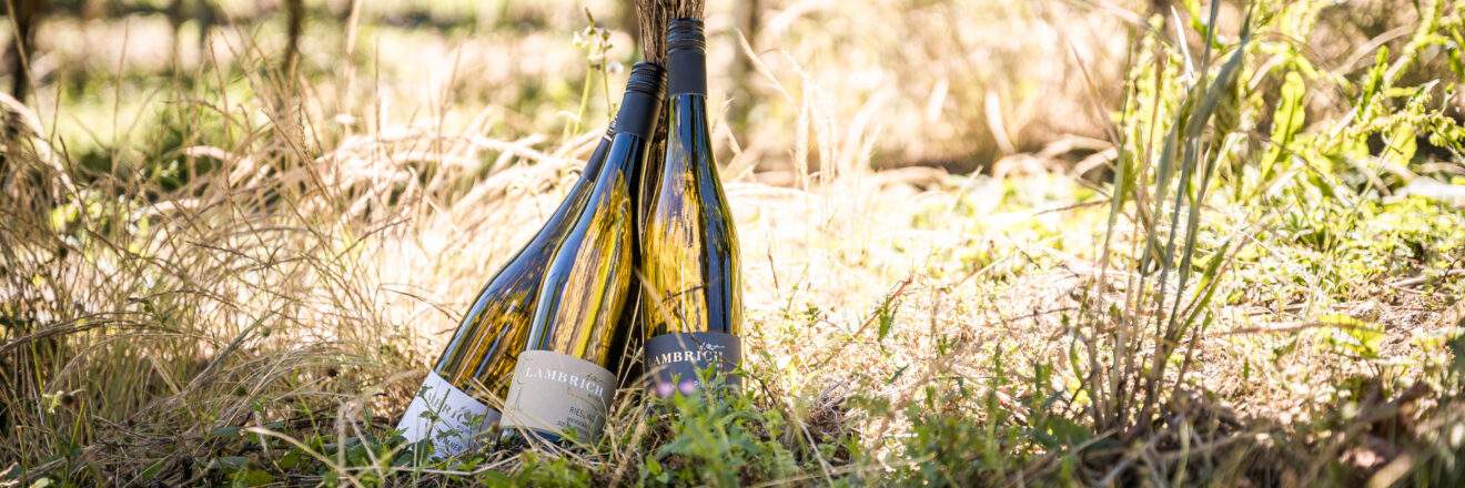 Foto 7 von Weingut Albert Lambrich