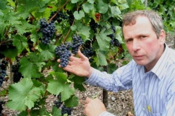 Weingut Albert Schwaab