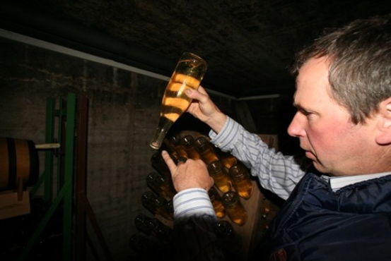 Foto 6 von Weingut Albert Schwaab