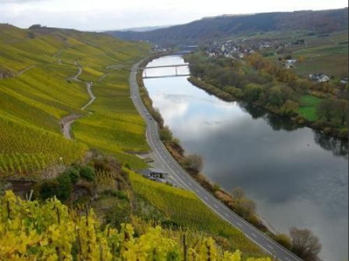 Foto 1 von Weingut Albert Schwaab