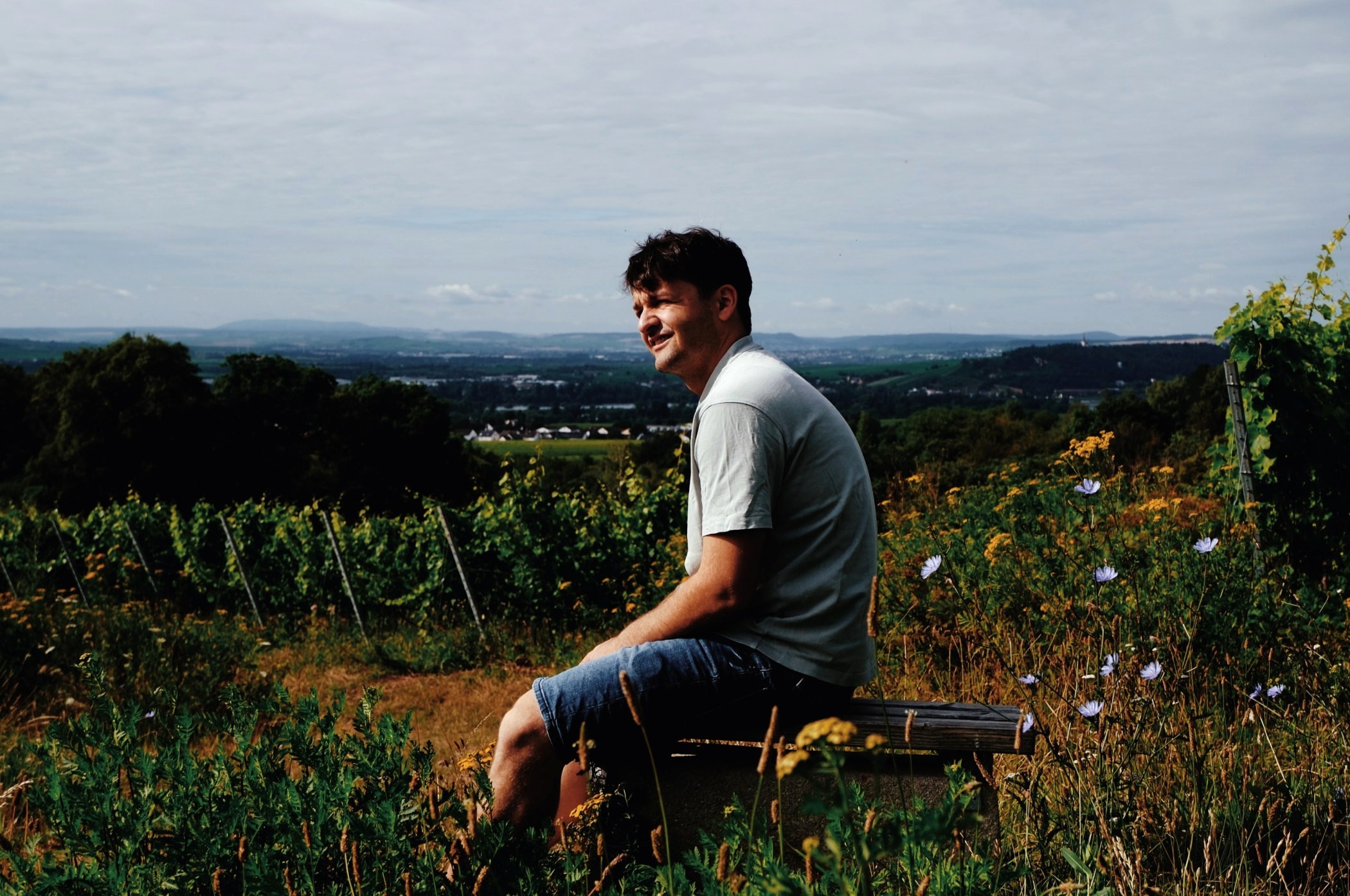 Foto 7 von Weingut Alexander Freimuth