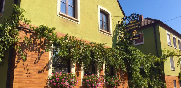 Фото 15 из Bioland-Weingut Gebrüder Nägle