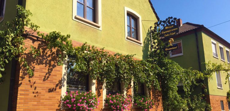 Фото 14 из Bioland-Weingut Gebrüder Nägle