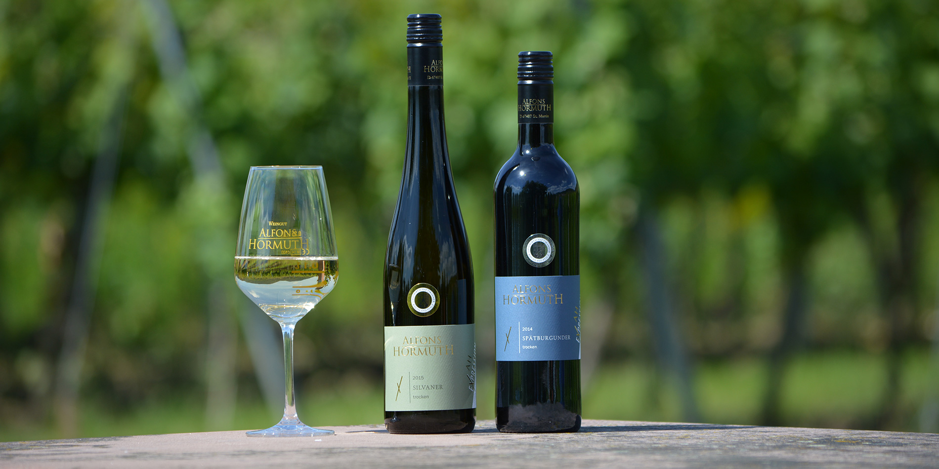 Photo 5 of Weingut Alfons Hormuth