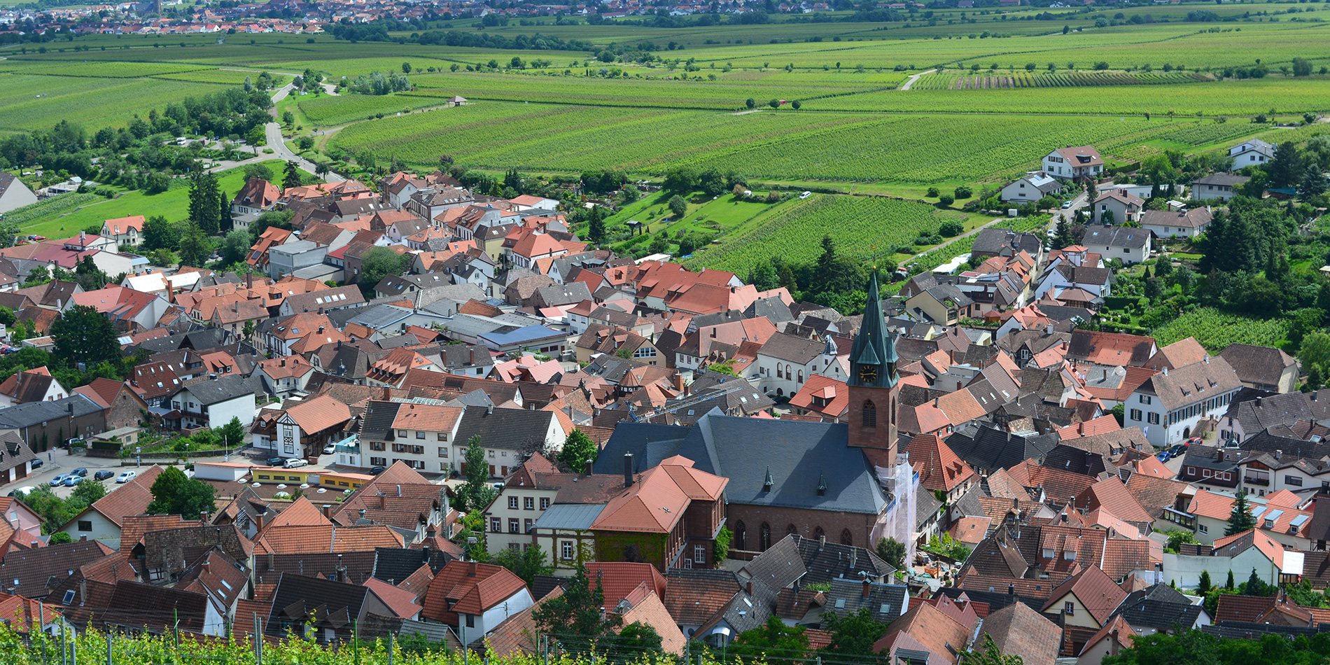 Photo 3 of Weingut Alfons Hormuth