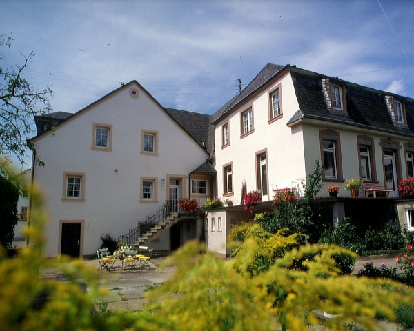 Foto 4 von Weingut Alfons Sebastiani