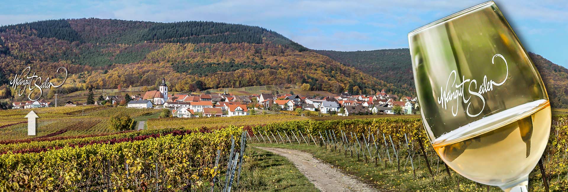 Foto 1 von Bioland-Weingut Ludwig Seiler