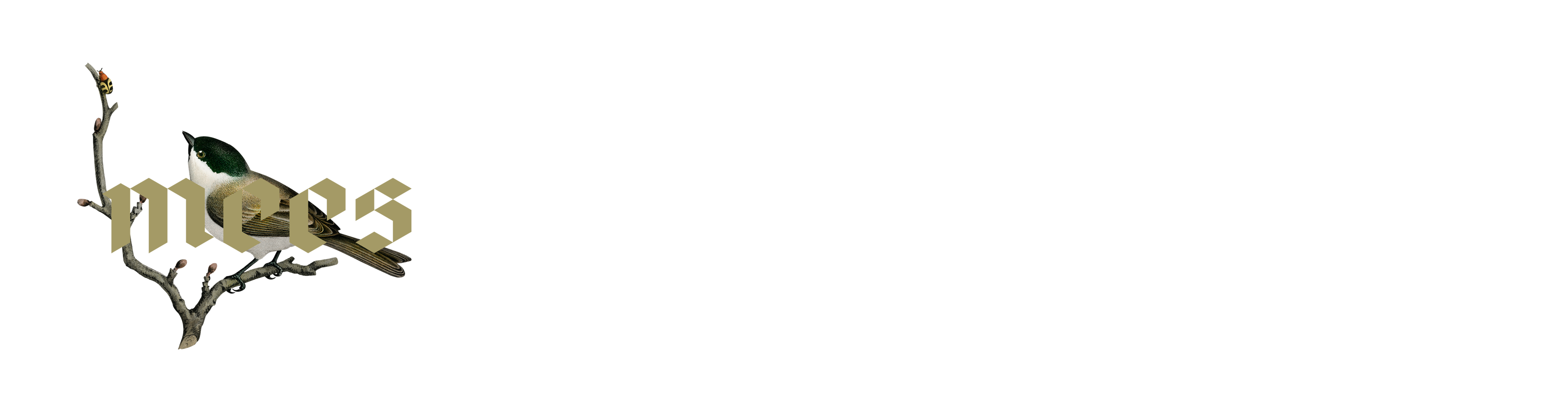 Weingut Altbürgermeister H. Mees & Sohn