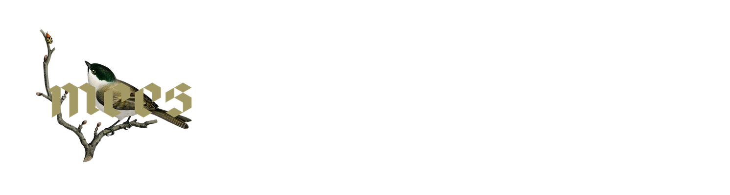 Foto 2 von Weingut Altbürgermeister H. Mees & Sohn