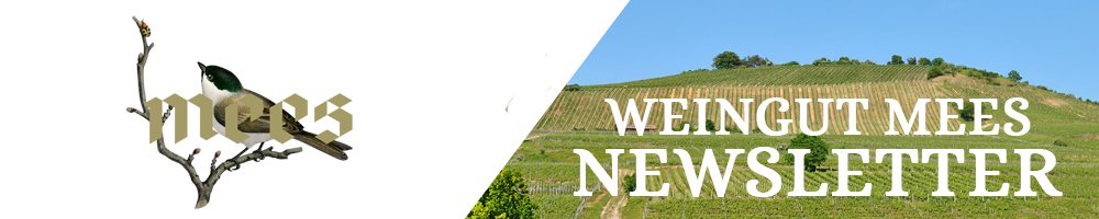 Foto 6 von Weingut Altbürgermeister H. Mees & Sohn