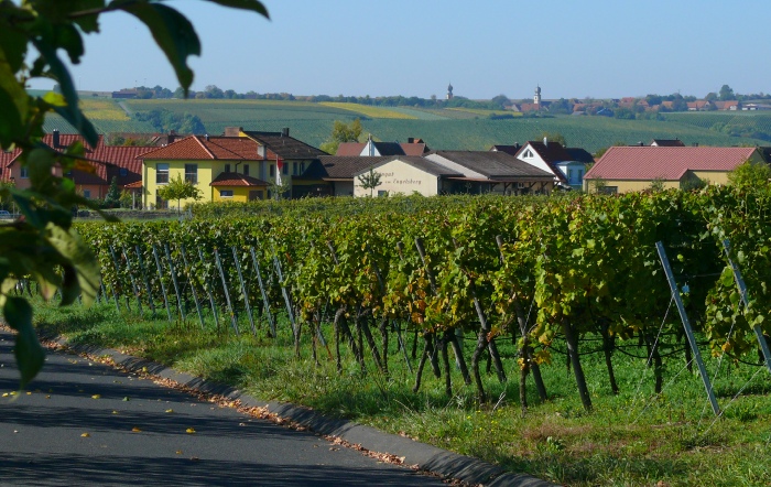 Фото 1 з Weingut am Engelsberg