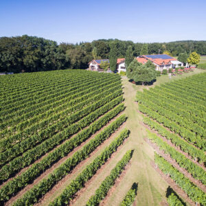 Foto 6 von Weingut Amalienhof