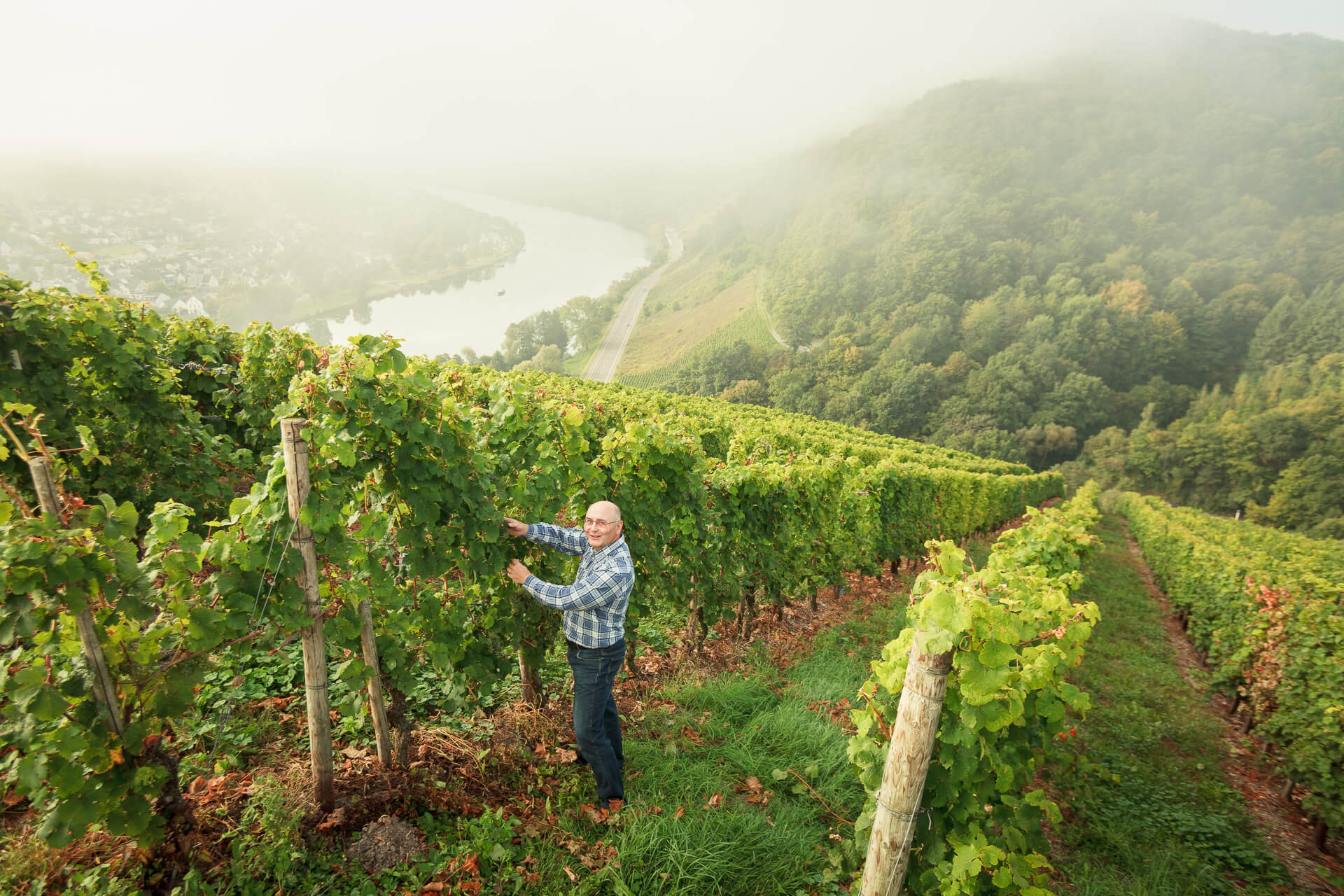 Weingut Andreas Fuchs
