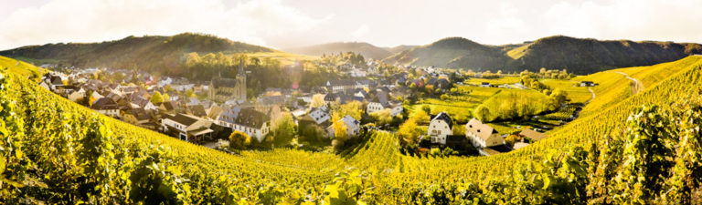 Foto 3 von Weingut Andreas Fuchs
