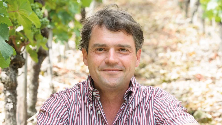 Foto 7 von Weingut Andreas Laible