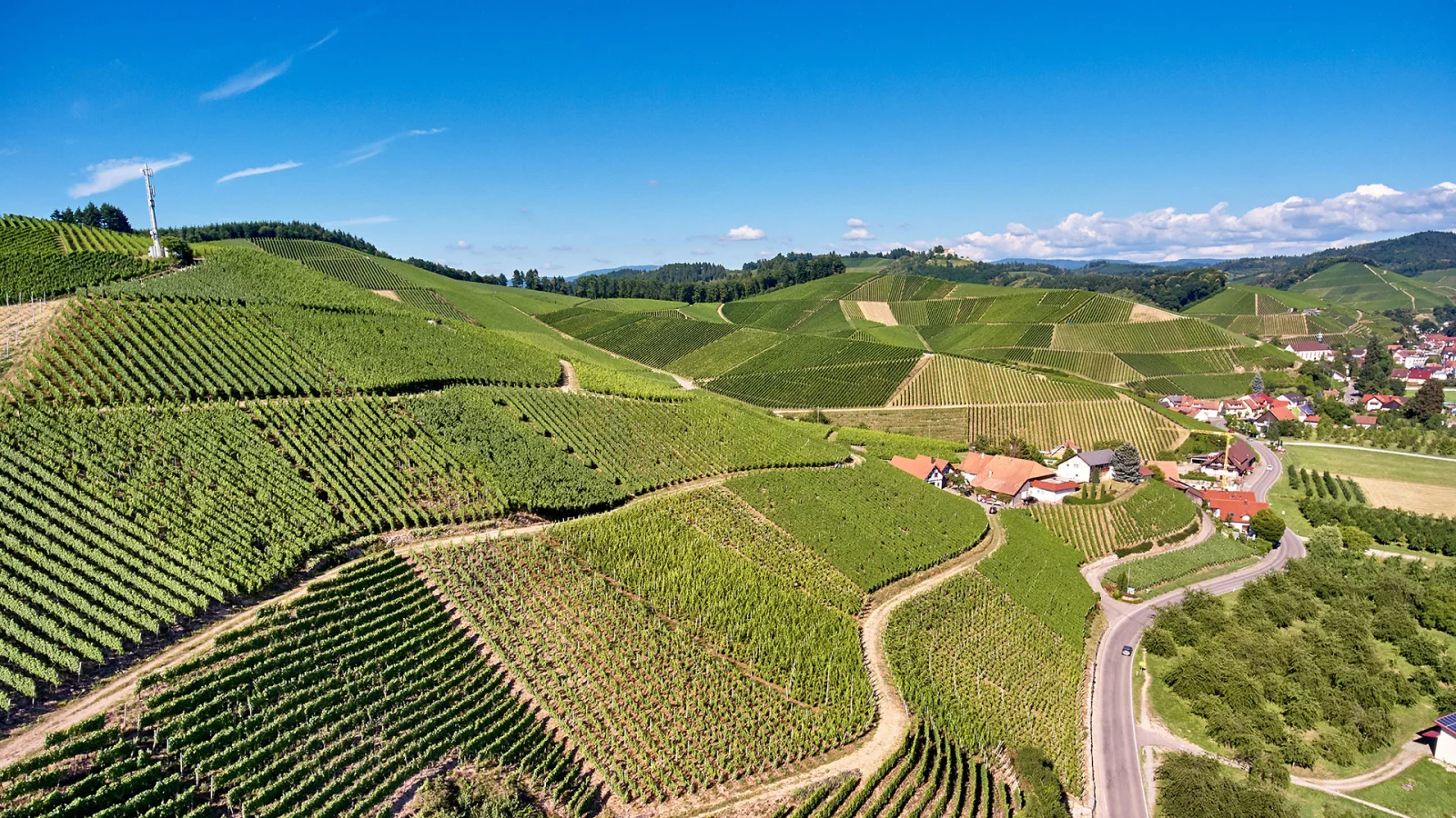 Foto 4 von Weingut Andreas Laible