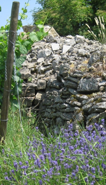 Bioland-Weingut Wallrapp