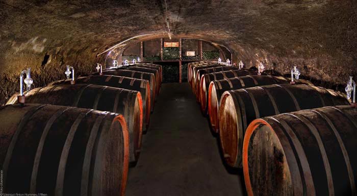 Foto 1 von Weingut Anton Hammes