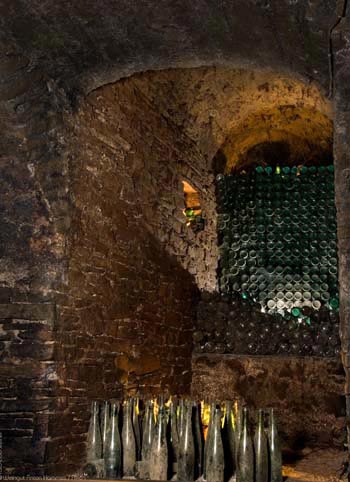 Foto 6 von Weingut Anton Hammes