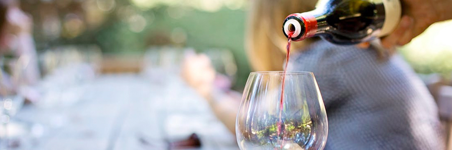 Foto 6 von Weingut Antoniushof