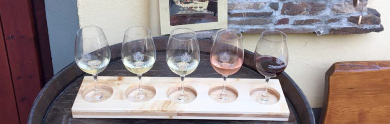 Foto 5 von Weingut Antoniushof