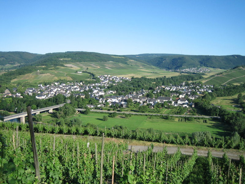 Foto 3 von Weingut Apotheker Bartz