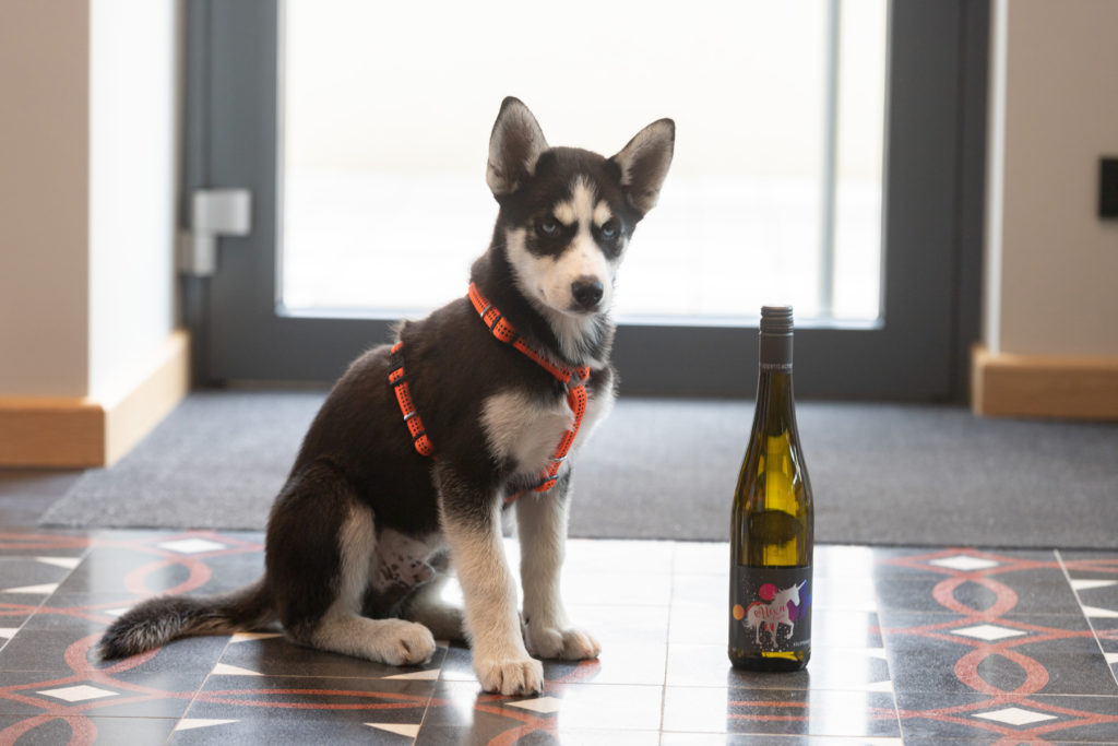 Foto 4 von Weingut Arnold Kruppenbacher
