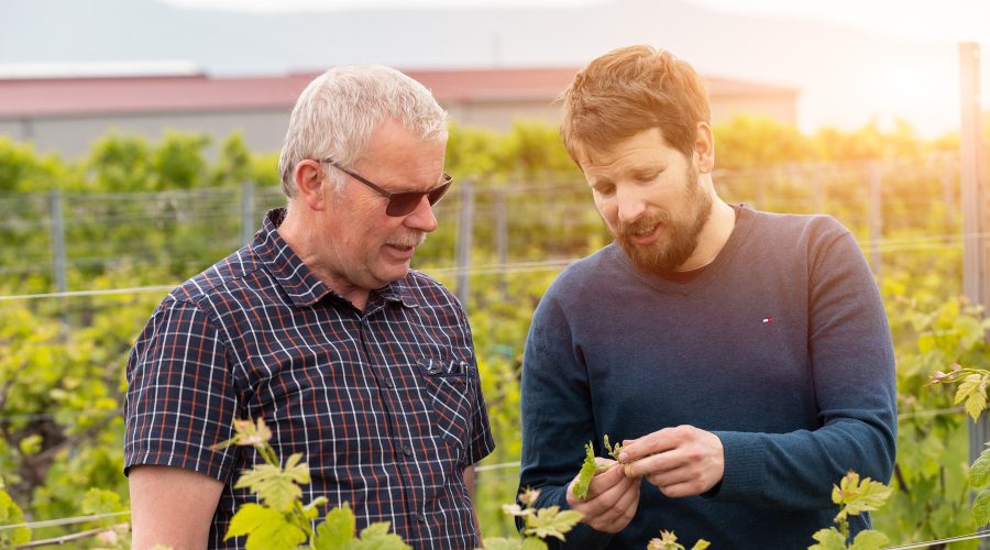 Foto 1 von Weingut Arnold Kruppenbacher