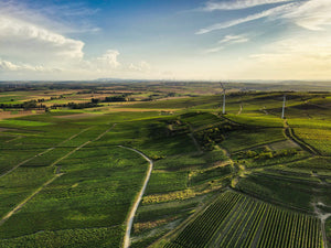 Foto 9 von Weingut auf den fünfzehn Morgen