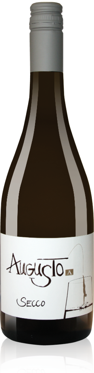 Foto 2 von Weingut Augustin